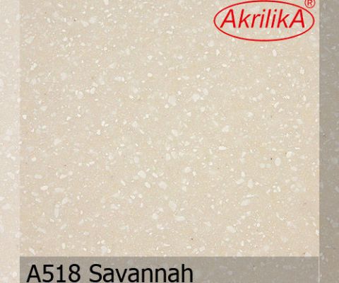 a518-savannah