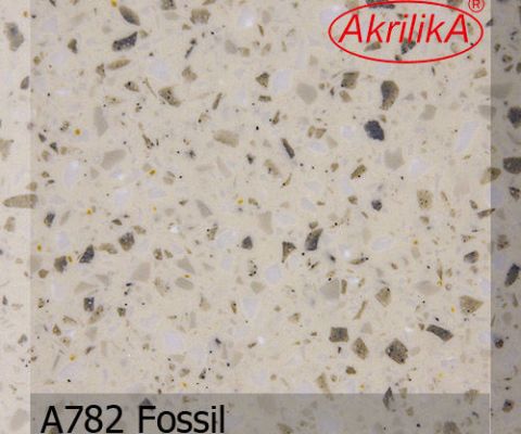 a782-fossil