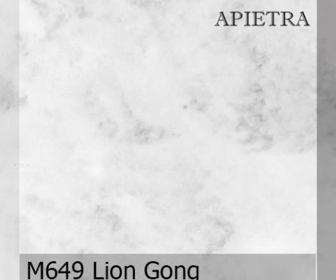 m649-lion-gong