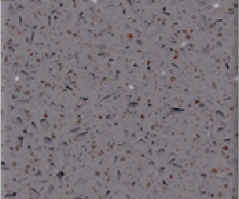 TS-121png