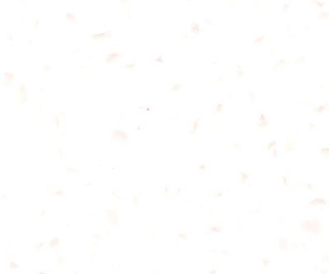 a-412-citron-blossom