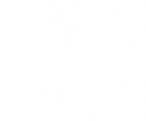 p-104-pure-white